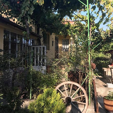Guesthouse Planinsko Gnezdo Tŭzha المظهر الخارجي الصورة