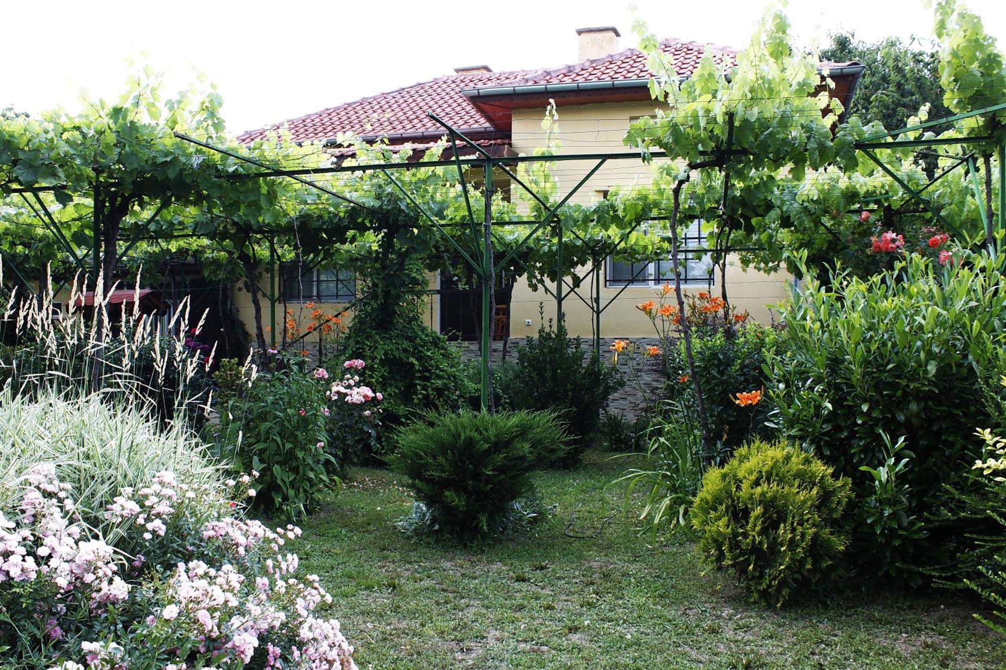 Guesthouse Planinsko Gnezdo Tŭzha المظهر الخارجي الصورة