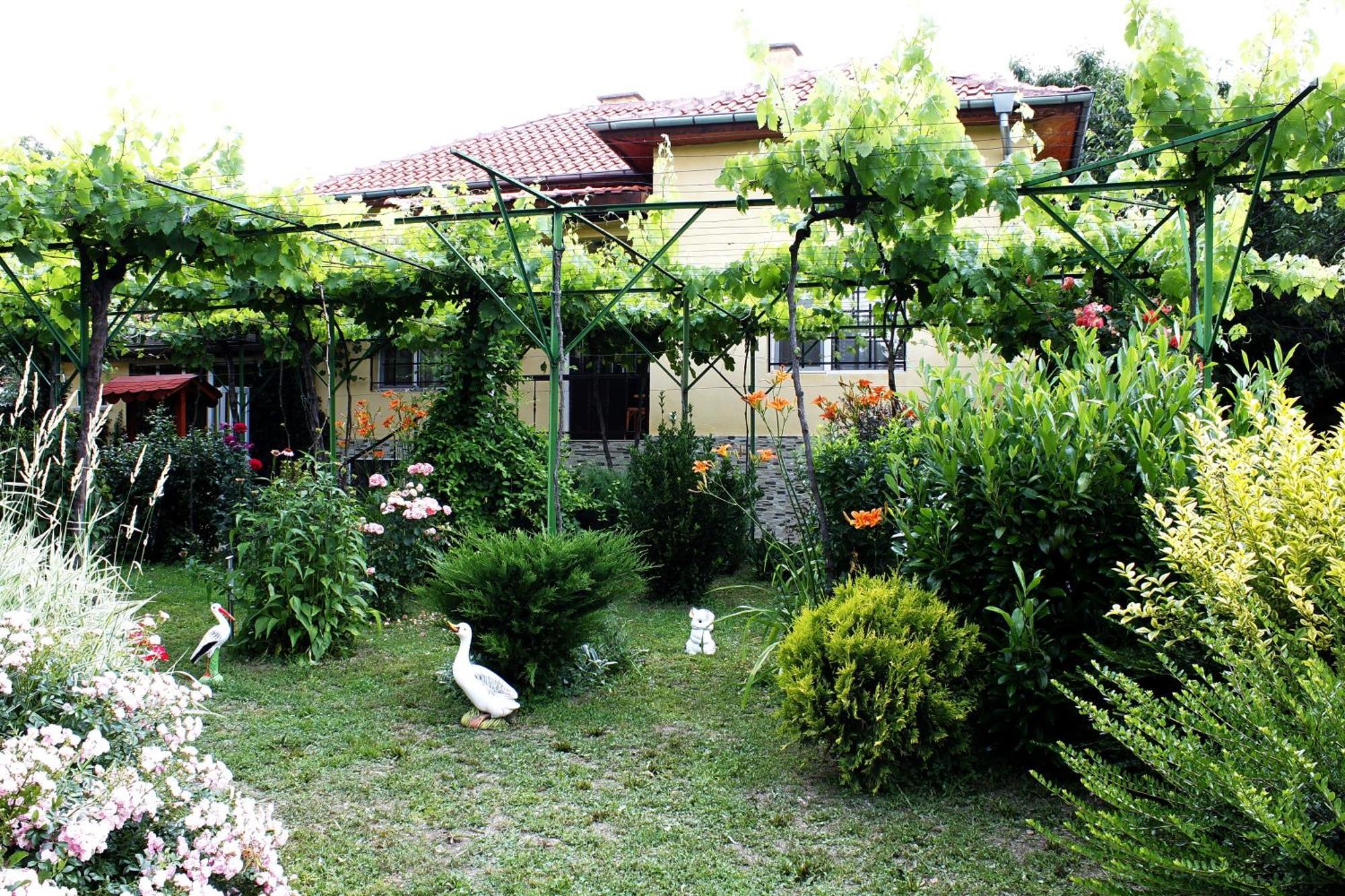 Guesthouse Planinsko Gnezdo Tŭzha المظهر الخارجي الصورة