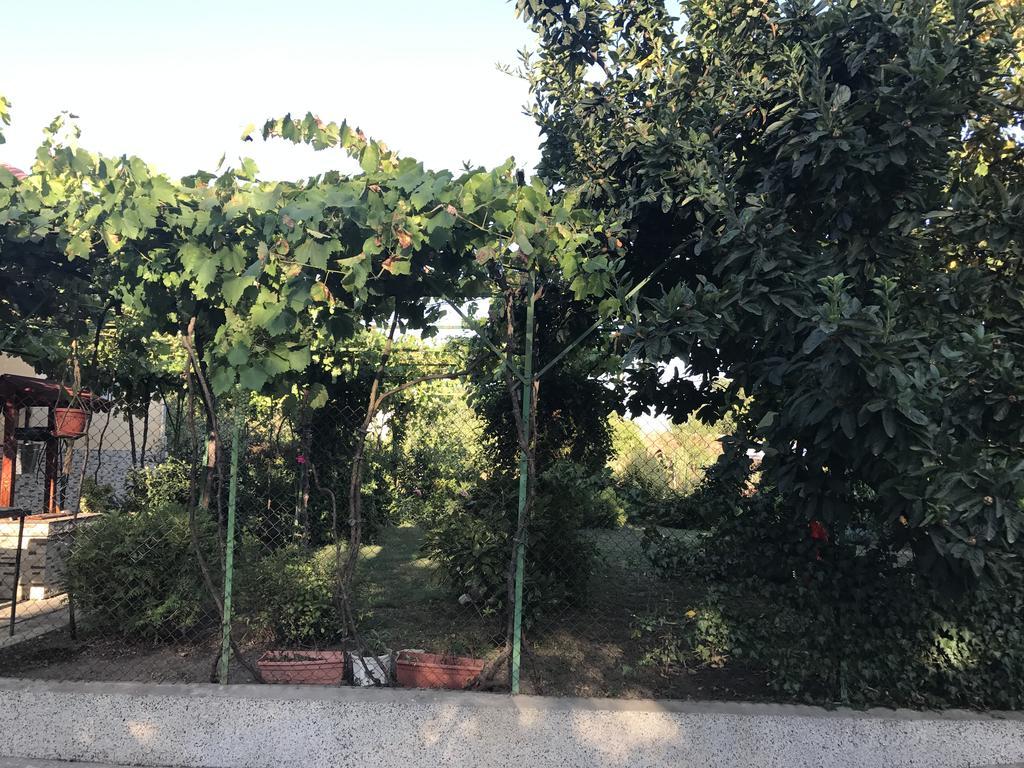 Guesthouse Planinsko Gnezdo Tŭzha المظهر الخارجي الصورة