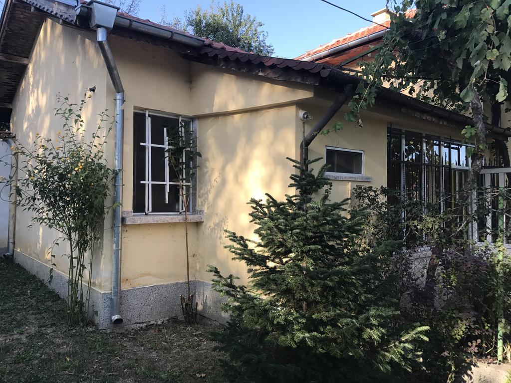 Guesthouse Planinsko Gnezdo Tŭzha المظهر الخارجي الصورة