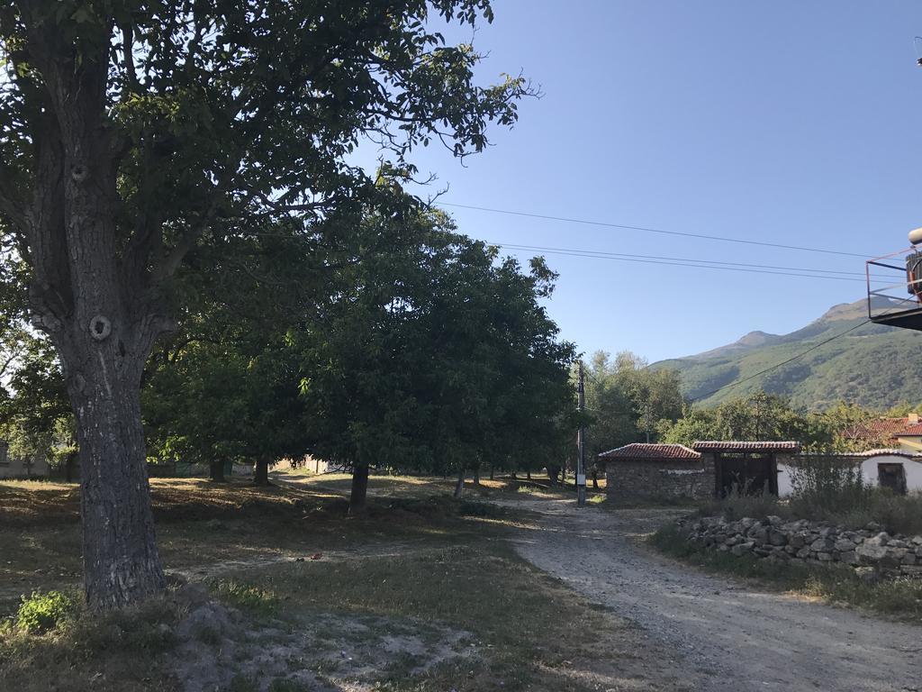 Guesthouse Planinsko Gnezdo Tŭzha المظهر الخارجي الصورة