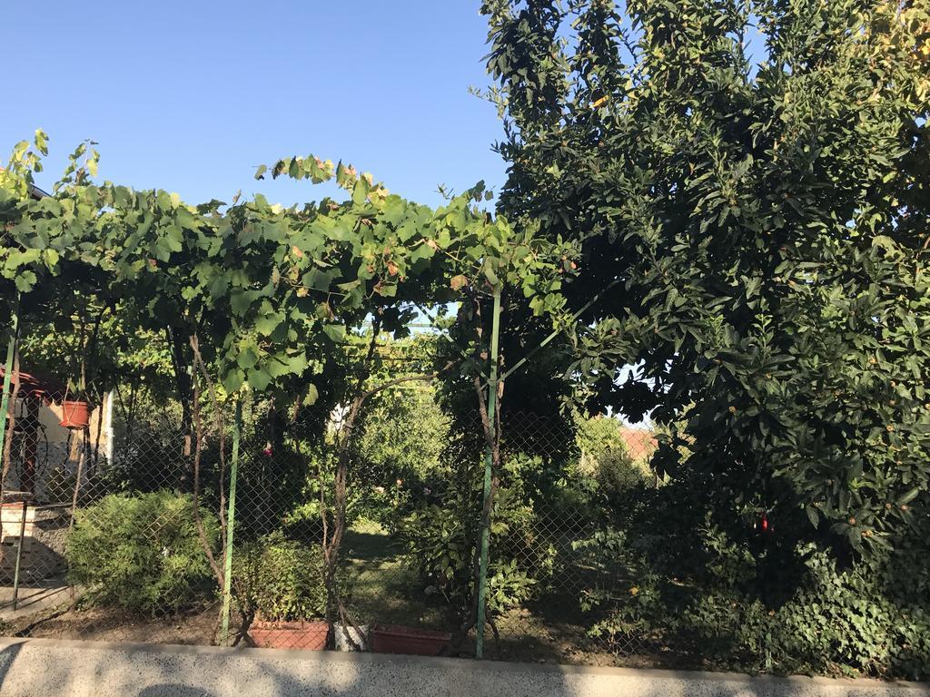 Guesthouse Planinsko Gnezdo Tŭzha المظهر الخارجي الصورة