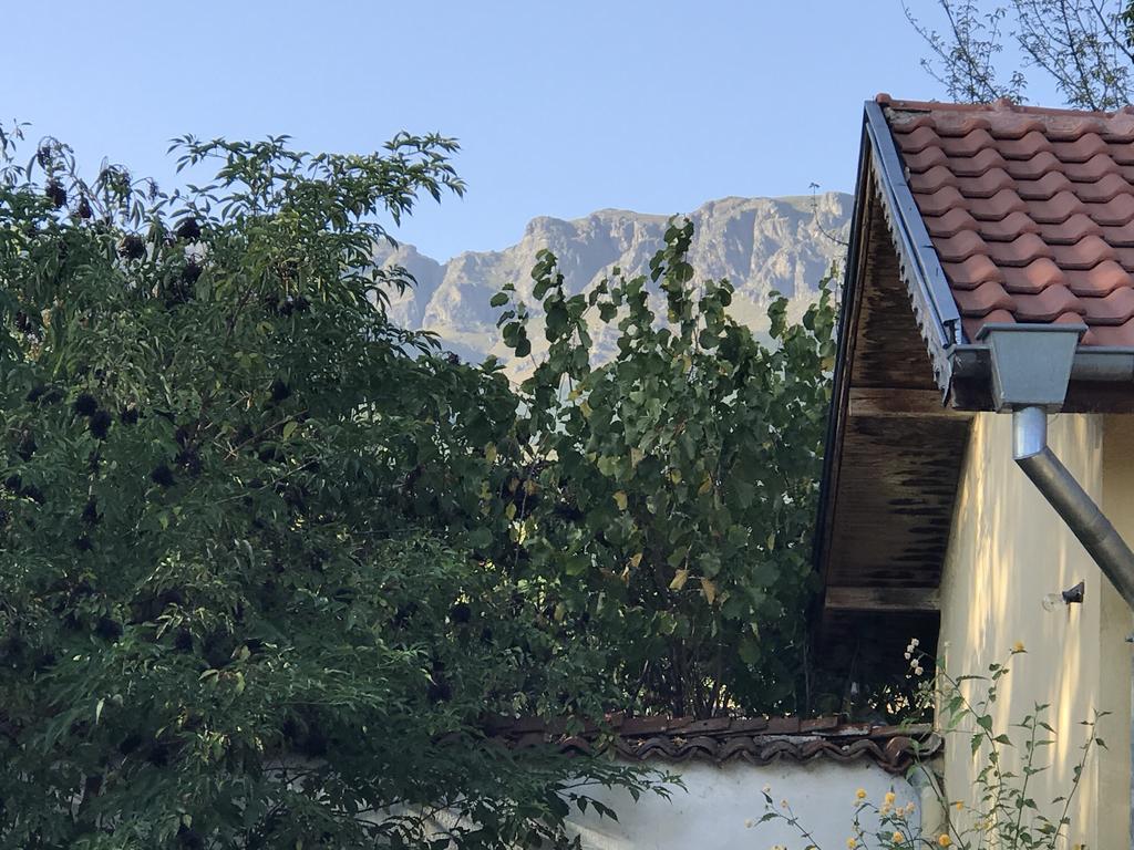 Guesthouse Planinsko Gnezdo Tŭzha المظهر الخارجي الصورة