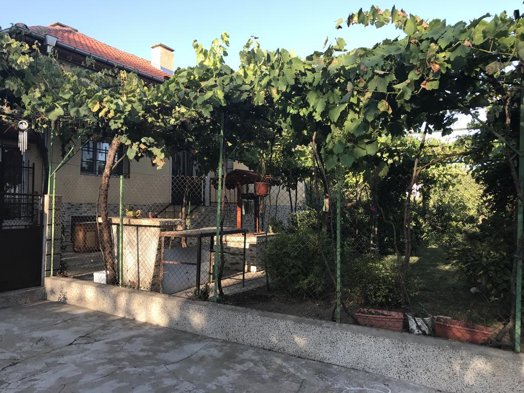 Guesthouse Planinsko Gnezdo Tŭzha المظهر الخارجي الصورة