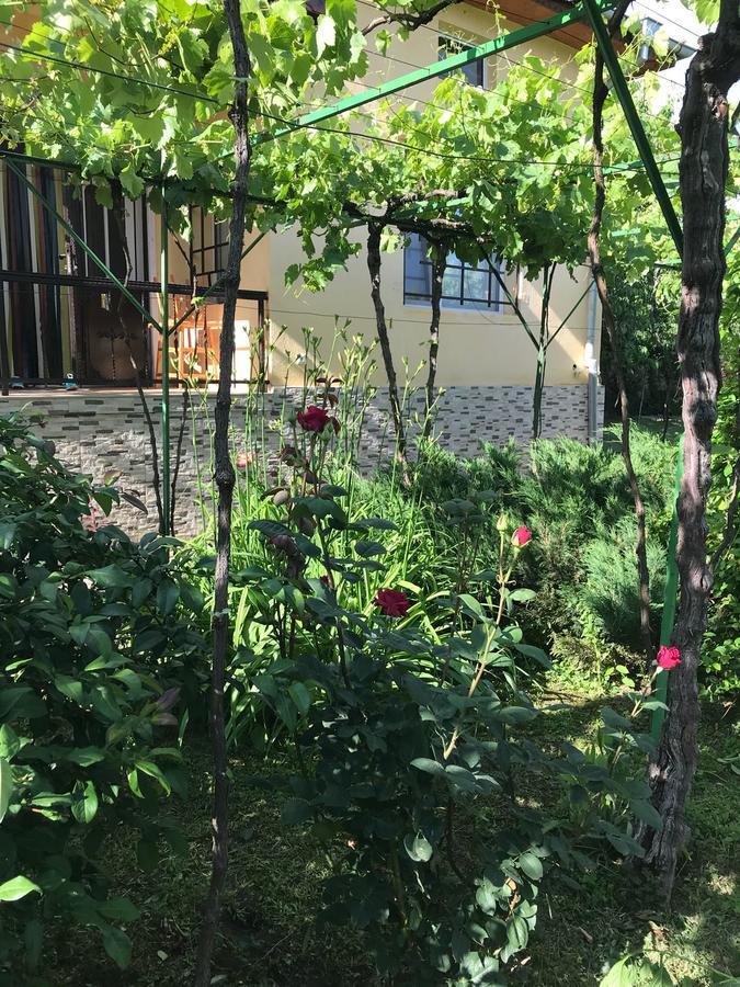 Guesthouse Planinsko Gnezdo Tŭzha المظهر الخارجي الصورة