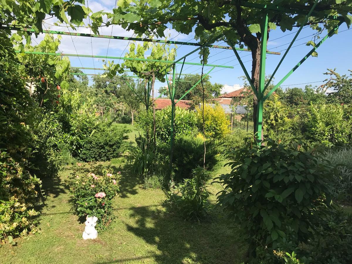 Guesthouse Planinsko Gnezdo Tŭzha المظهر الخارجي الصورة