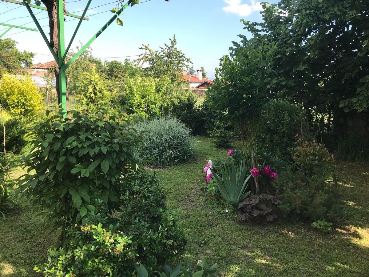 Guesthouse Planinsko Gnezdo Tŭzha المظهر الخارجي الصورة